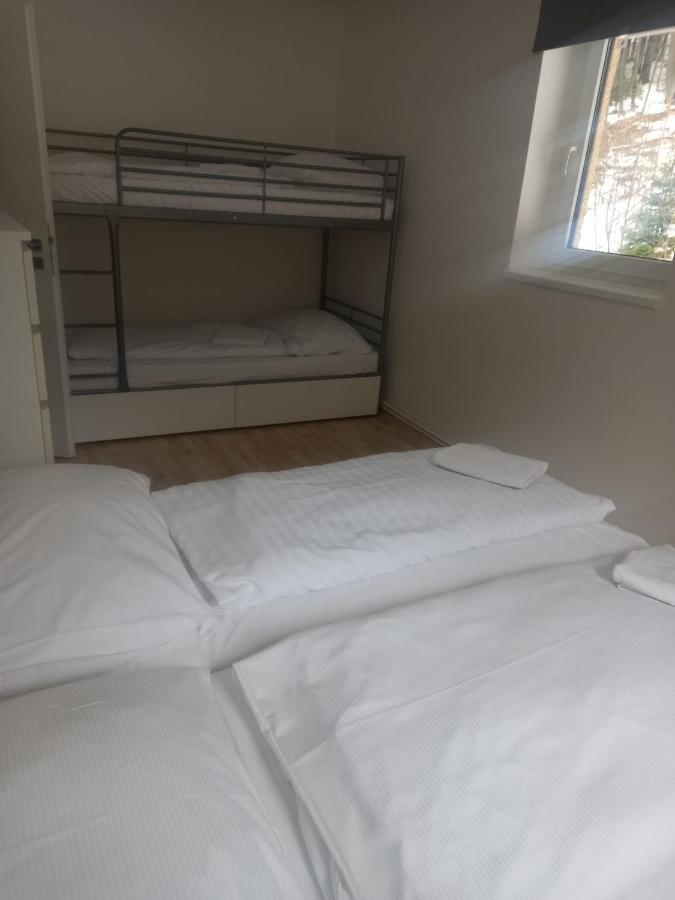 Apartmany Za Sneznikem Dolní Morava Extérieur photo