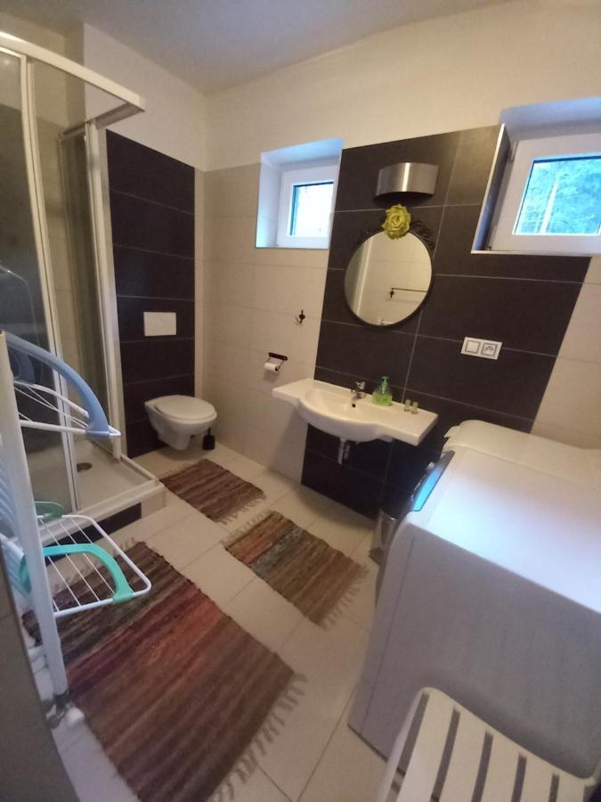 Apartmany Za Sneznikem Dolní Morava Extérieur photo