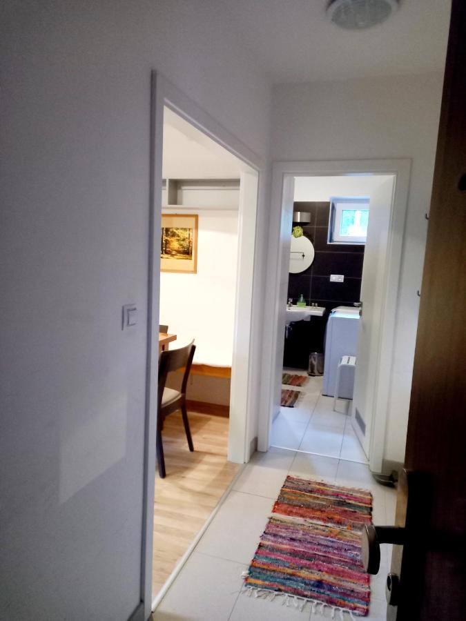 Apartmany Za Sneznikem Dolní Morava Extérieur photo